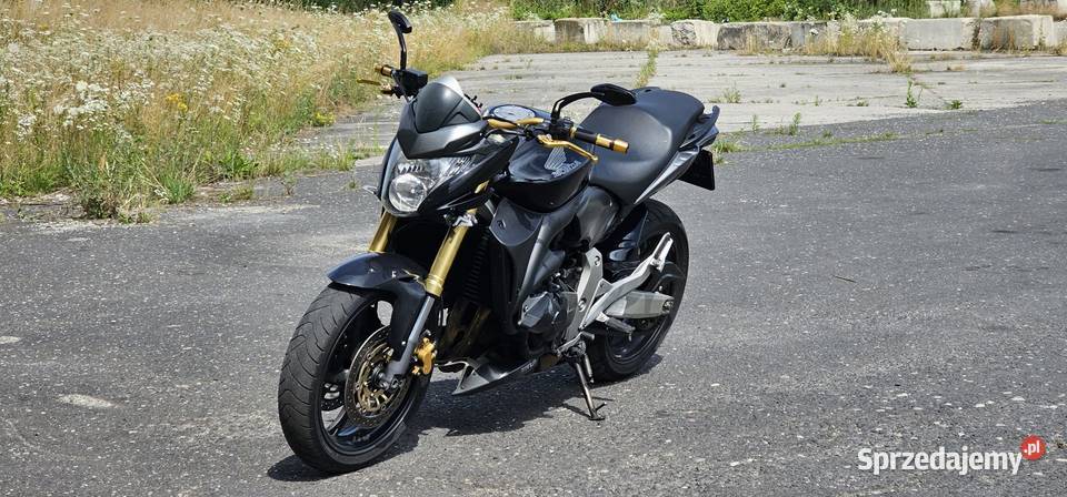 Honda Hornet CB 600 F Brzeg