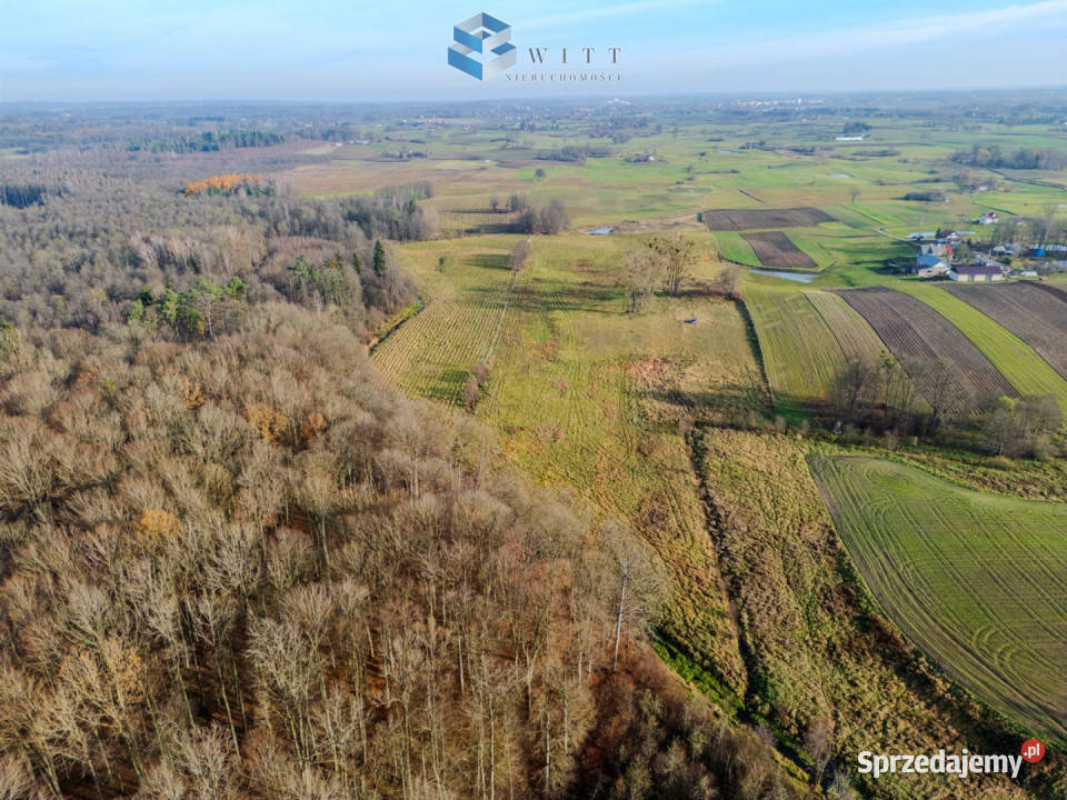 sprzedaży gruntu Jędrychówko 53400m2 prąd