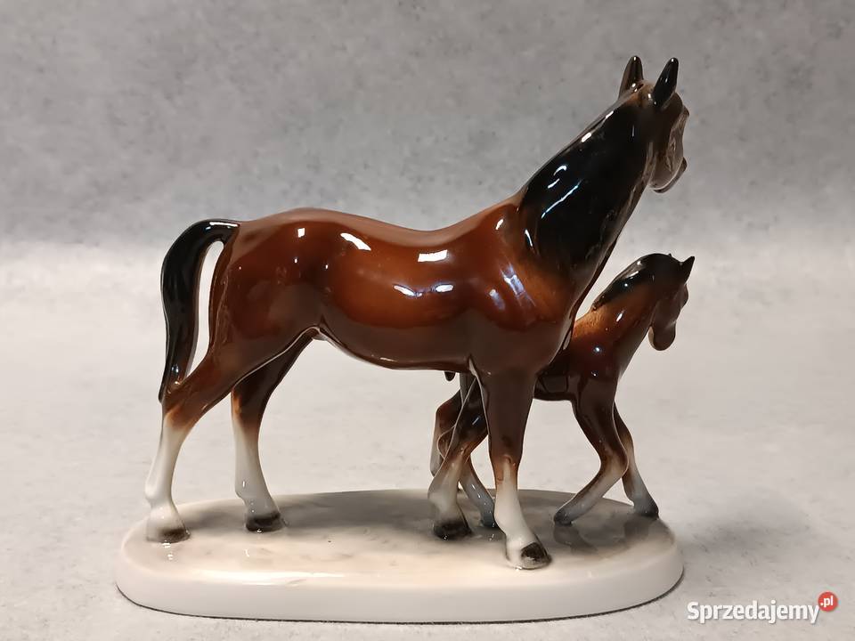 Hertwig Konie Kolekcjonerska Klacz i Źrebię pomorskie Gdańsk