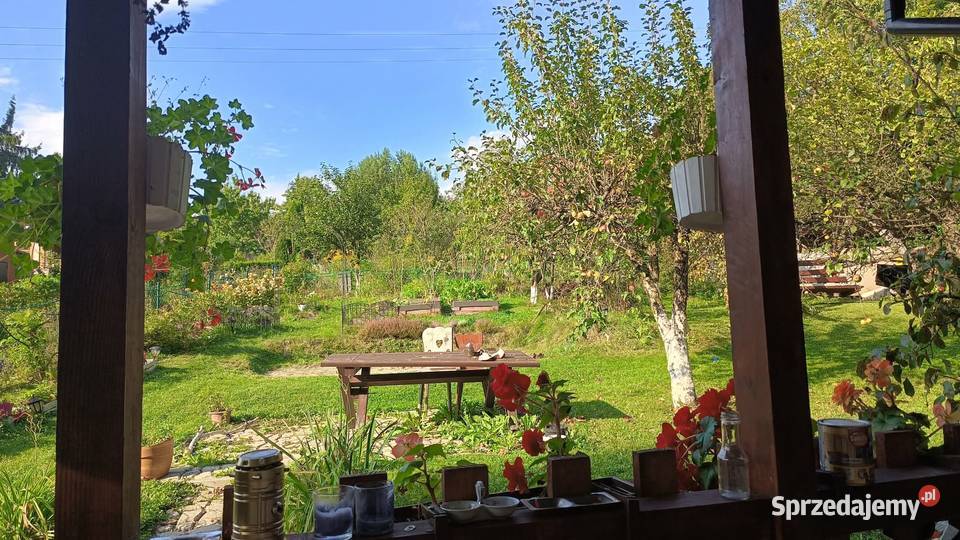 Działka ROD duża 6a Bielsko-Biała