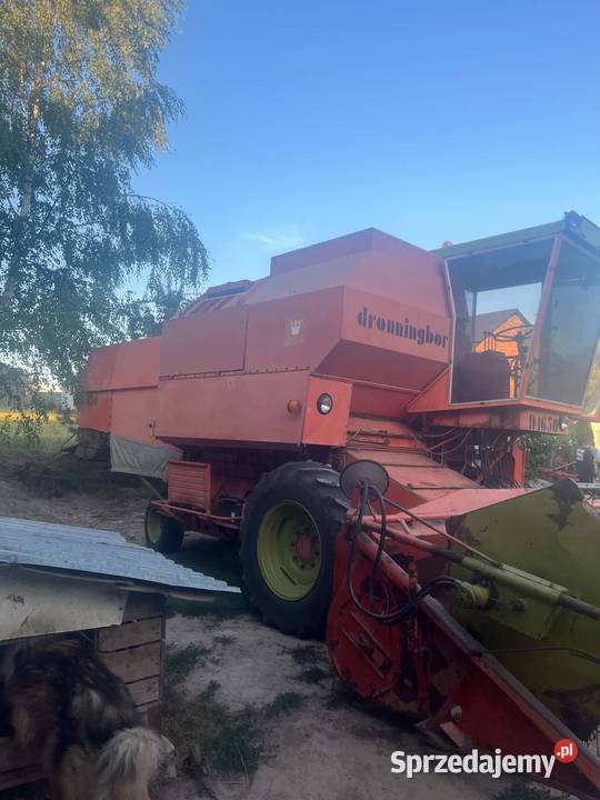 Dronninborg D1650 Zbożowe lubelskie