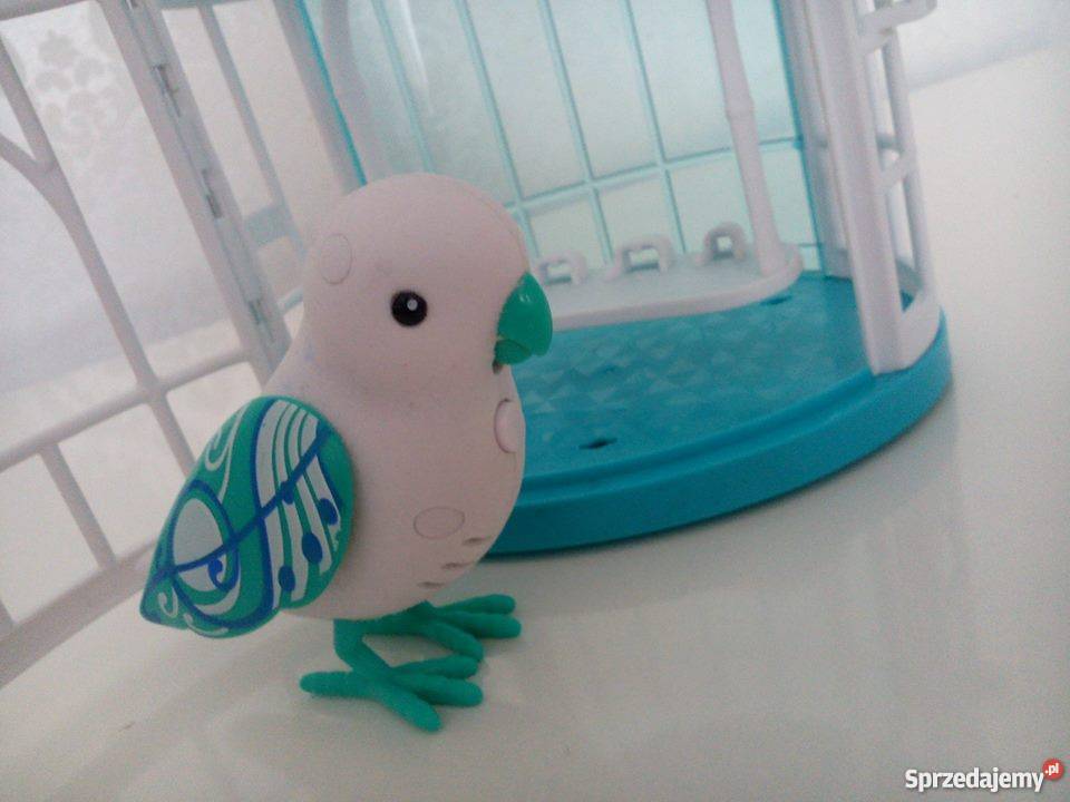 Little Live Pets papuga żywa Zamość