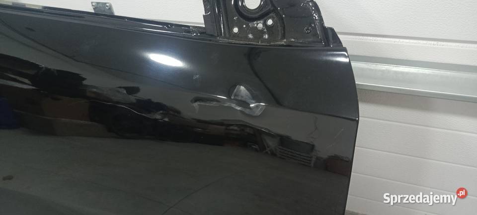 drzwi renault raffale Brześć Kujawski
