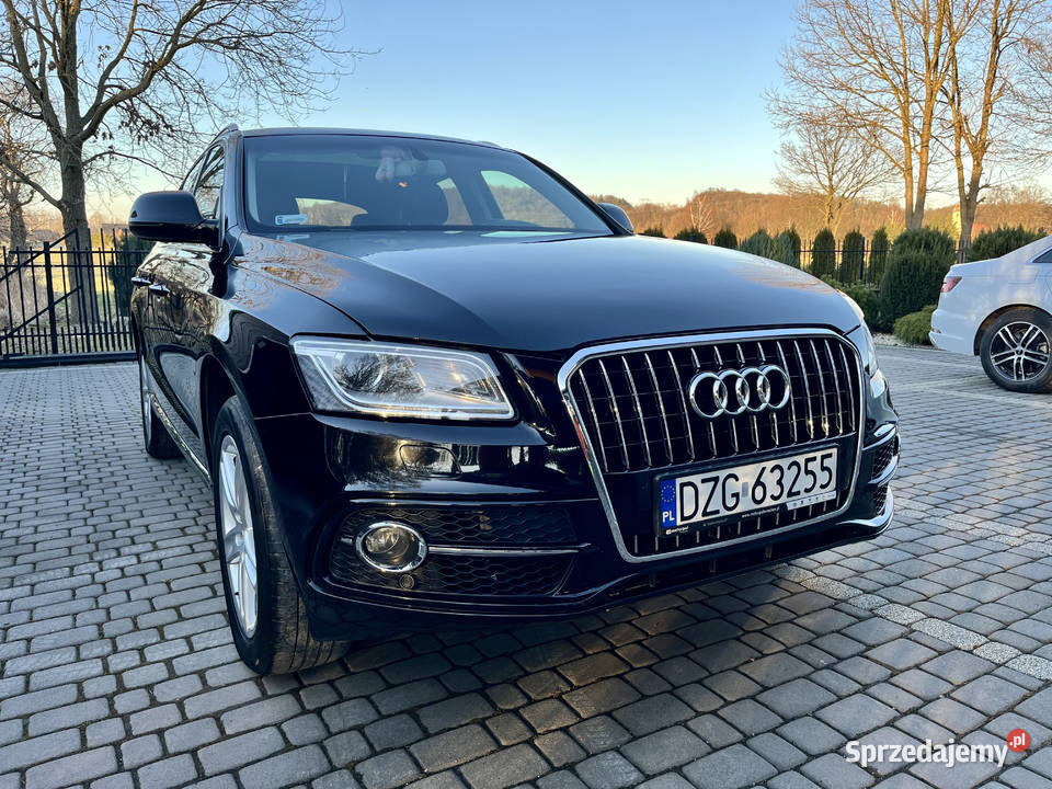 Audi Q5 20 TFSI Zgorzelec