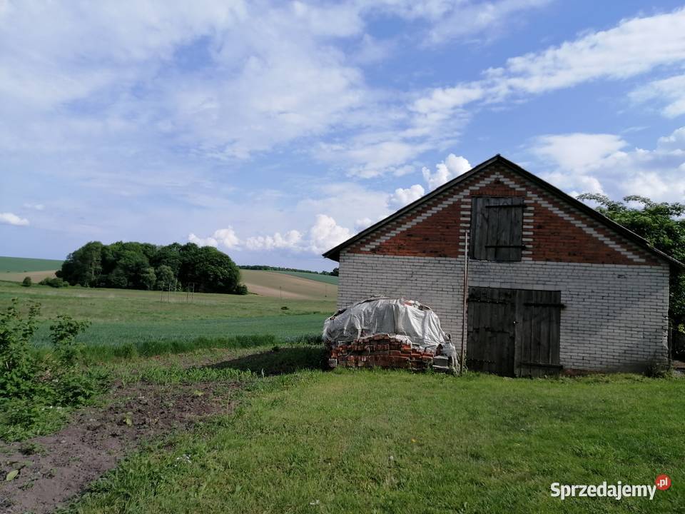 SIEDLISKO dom 1ha pola sprzedam