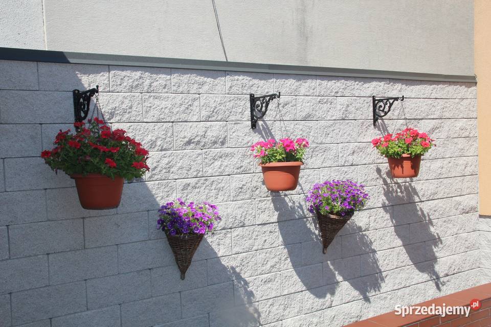 WSPORNIK WIESZAK PÓŁKI ŻELIWNY KWIAT PODPÓRKA