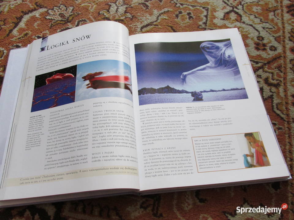 SŁOWNIK SNÓW dlaczego śnimy Rok wydania 2005