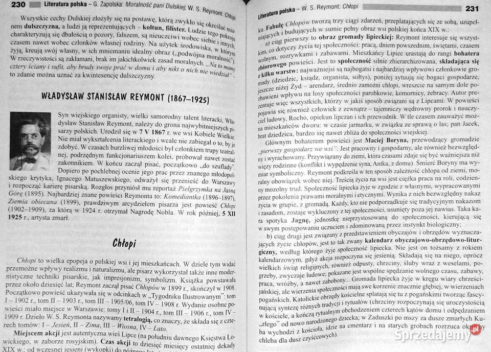Vademecum Język polski Liceum technikum Wojciech Chełm