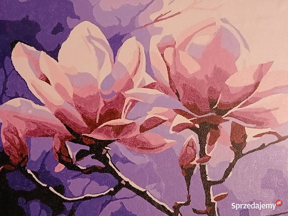Magnolie obrazy malowane numerach Boguchwała