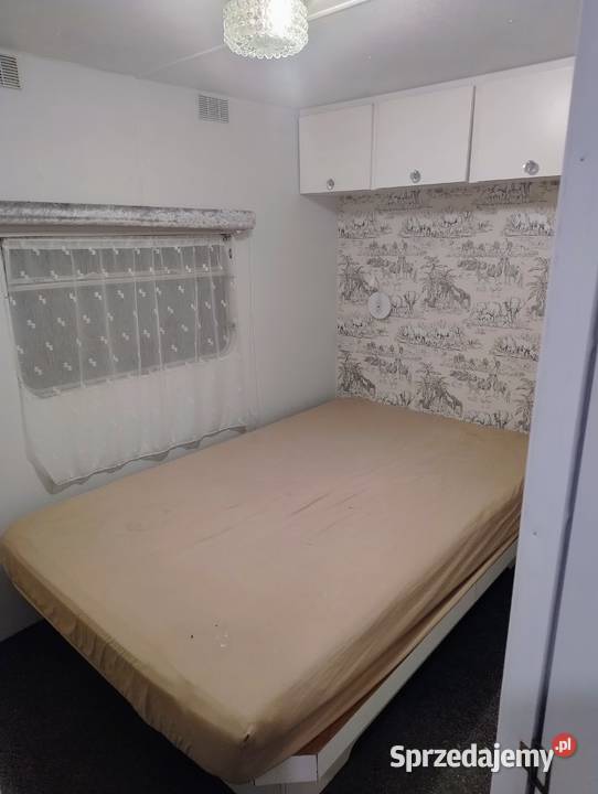 Sezonowy domek holenderskiangielski 384 Brzozie