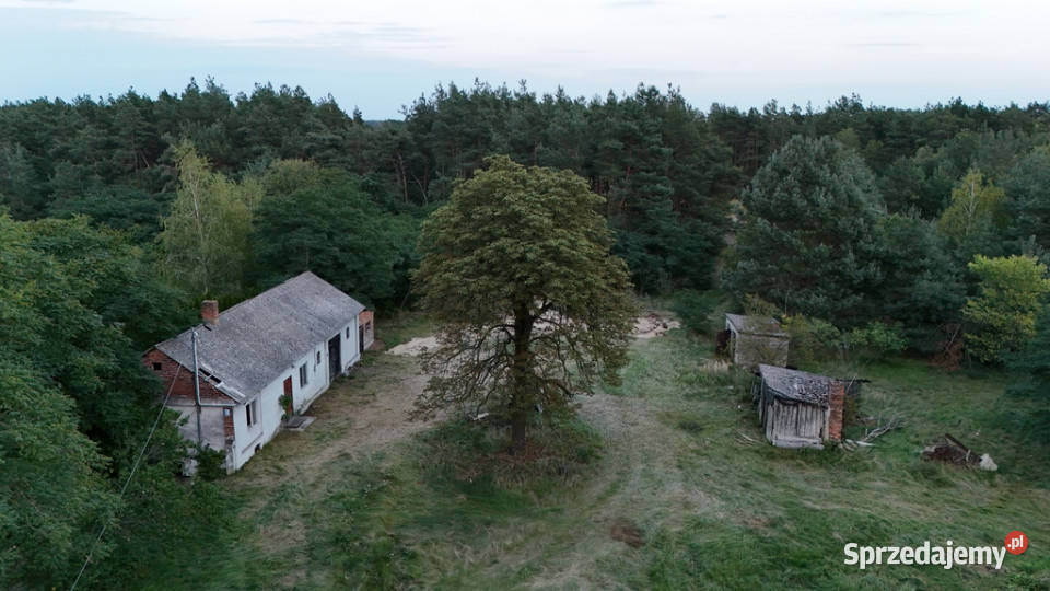 Wyjątkowe siedlisko 57 ha z własnym lasem Jadwichna