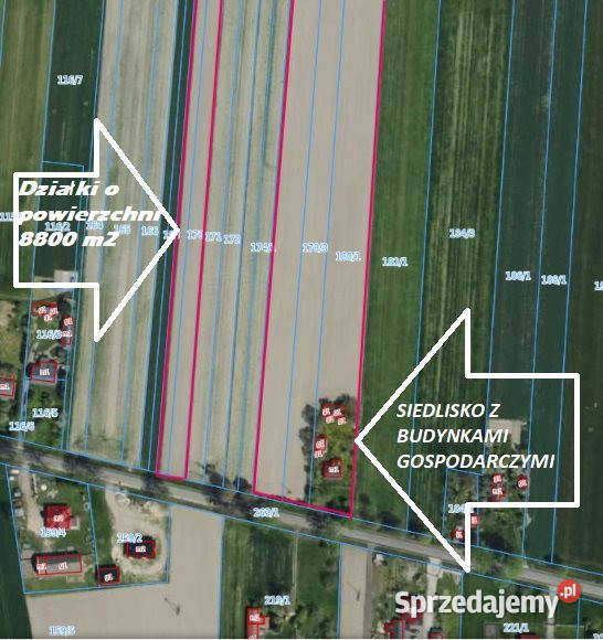 sprzedaży gruntu 8800m2 Kotliny sprzedam