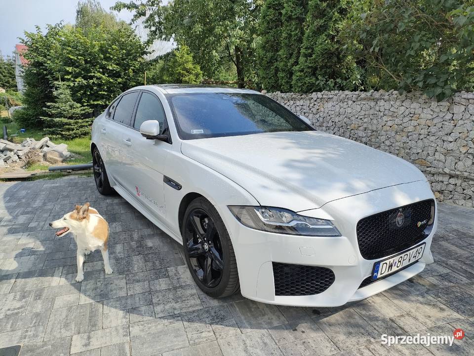 Jaguar XF RSport R260 300 700Nm Bielany Wrocławskie sprzedam