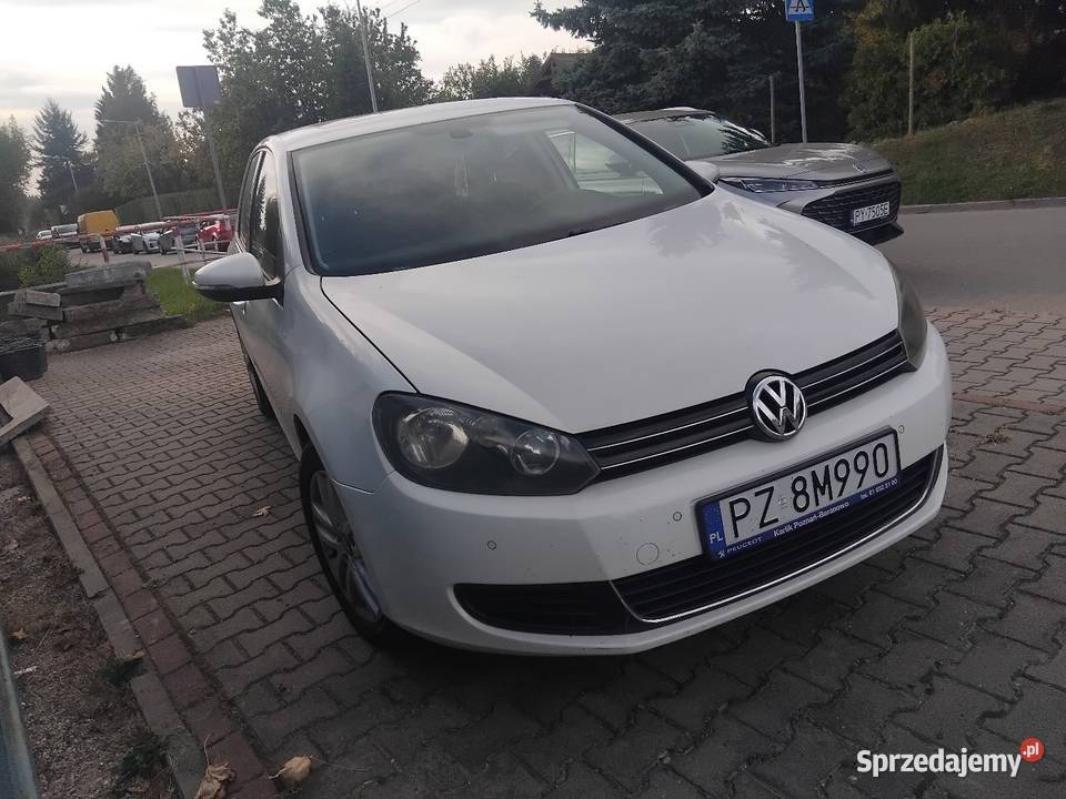 Golf 6 16TDI TDI Automat ekonomia Hatchback Poznań