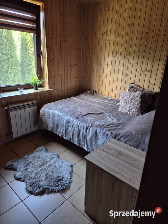 Domek do wynajęcia na dużej ogrodzonej działce wolnostojący Hajnówka