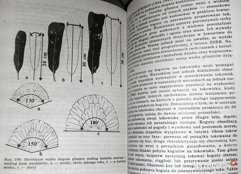Określenie wieku zwierzyny Josef Lochman Chełm