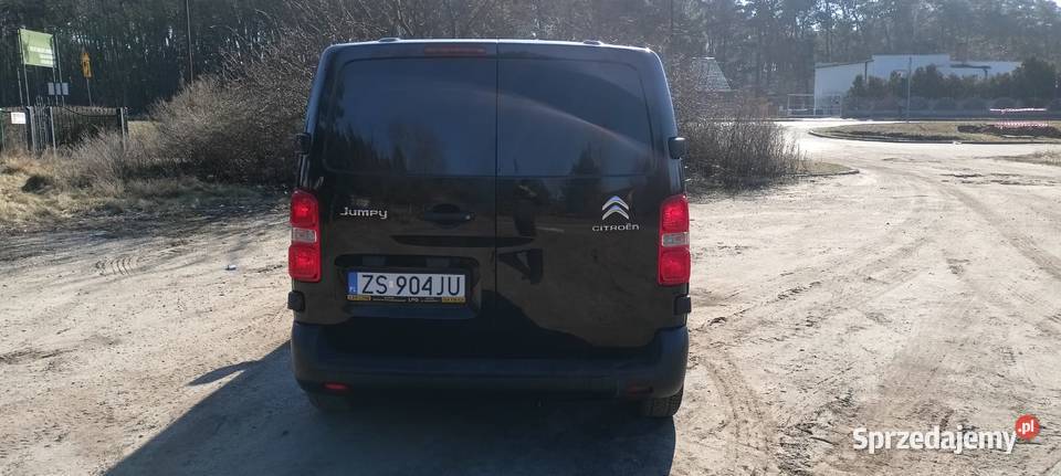 Citroen Jumpy 20 177 automat Rok produkcji 2016 Zielona Góra