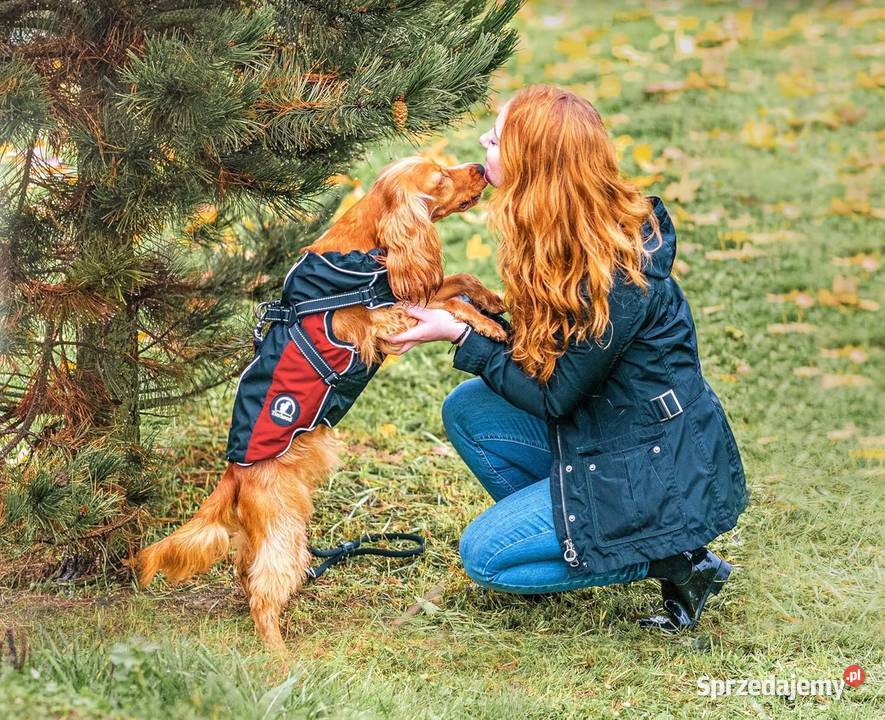 Kurteczka Tierhood zielony XXS Myszyniec