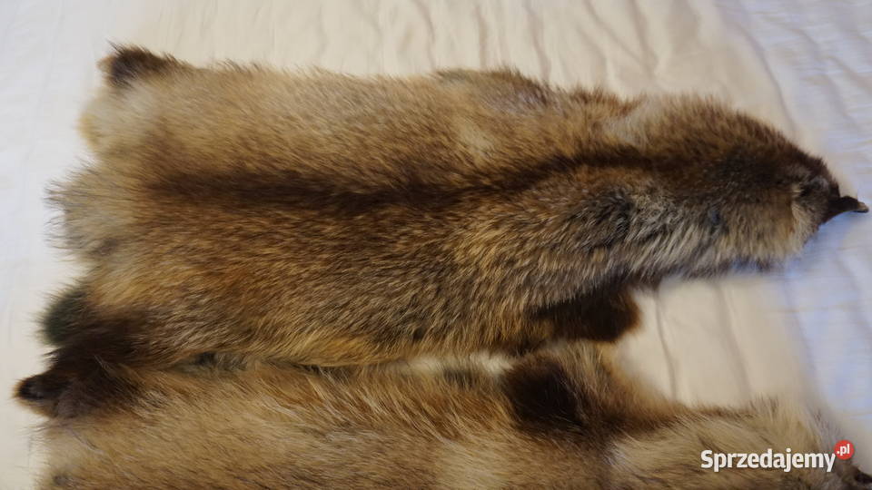 Jenot dwie piękne skóry