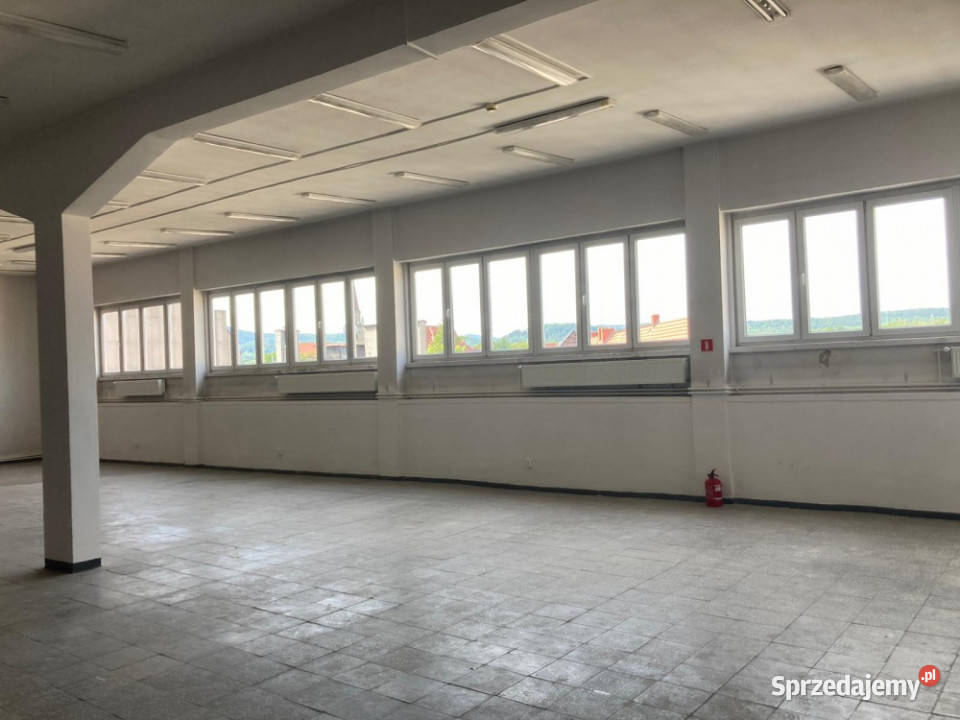 wynajmę lokal użytkowy w centrum Wałbrzycha Wałbrzych sprzedam