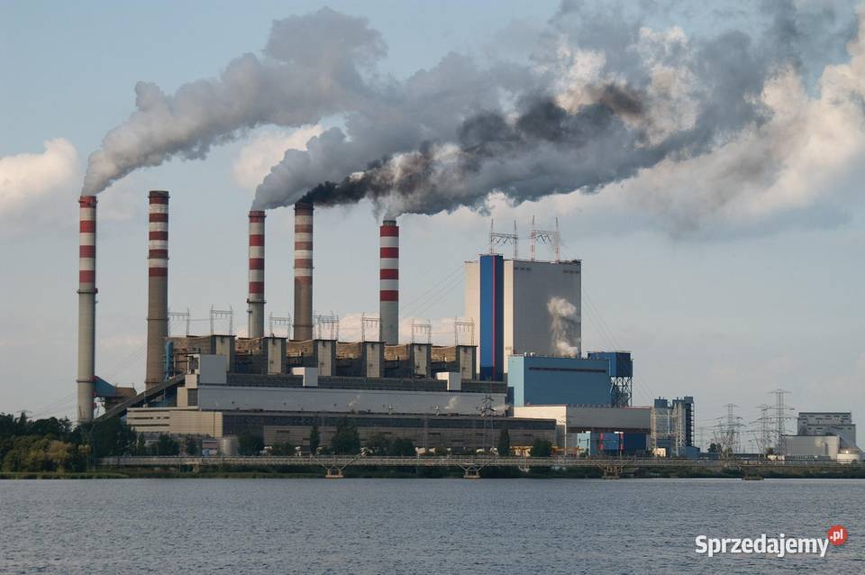 Ile kosztuje sprawozdanie DNSH raport cennik
