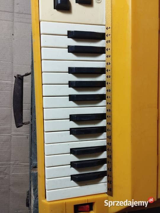 Elektryczne organy akordowe Nuova Ruaro SRL Zielona Góra