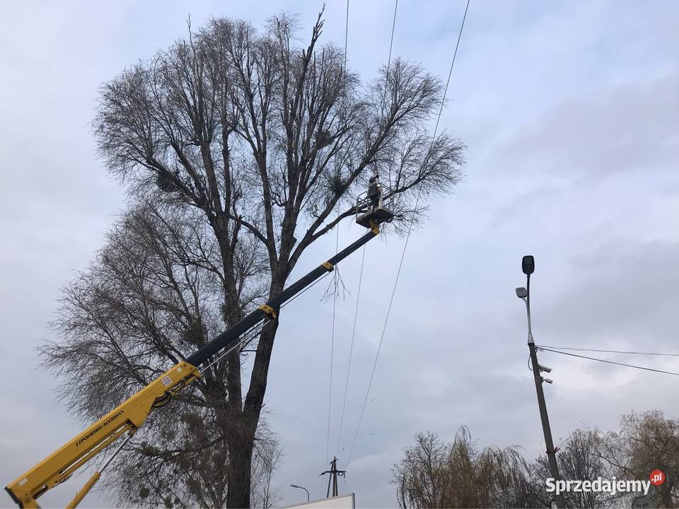 Wycinka drzew krzewów rębakowanie mulczowanie
