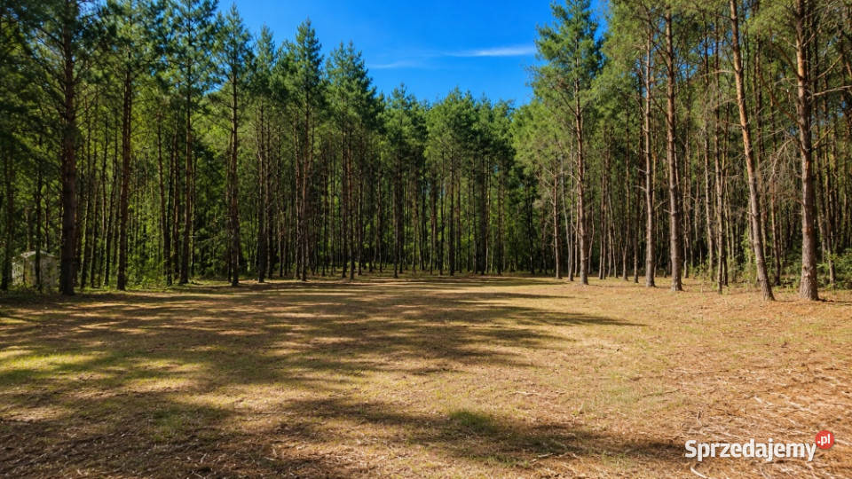 Działka Karczewko sprzedam