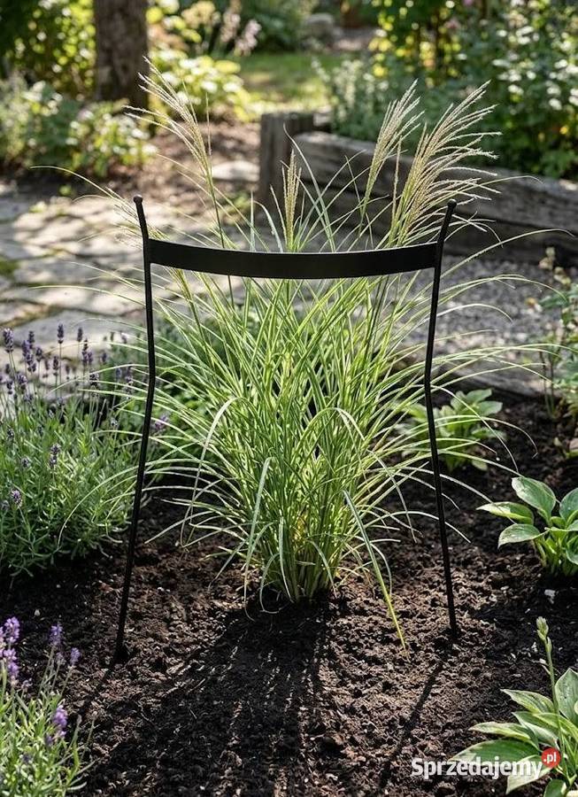 Podpora otwarta traw i nie Ligota