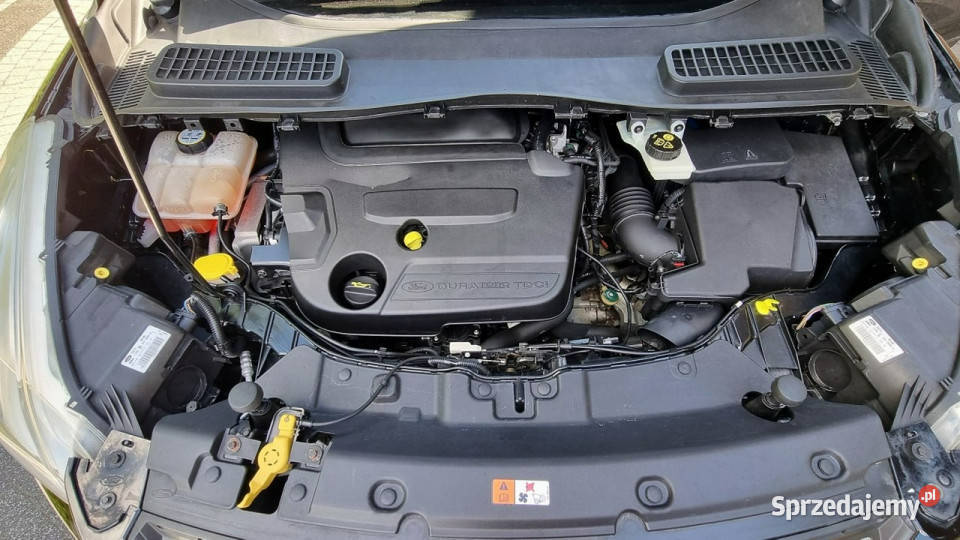 Ford Kuga 20 Prosty Silnik Grzane Fotele Płońsk sprzedam