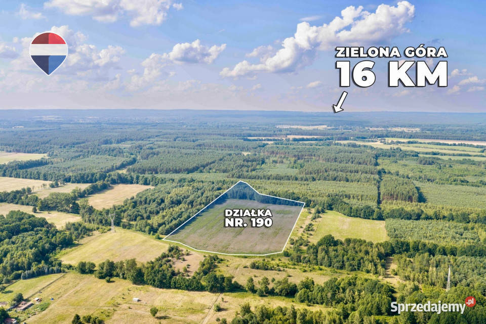 Działka rolna 521 ha w Jarogniewicach Zielona Góra