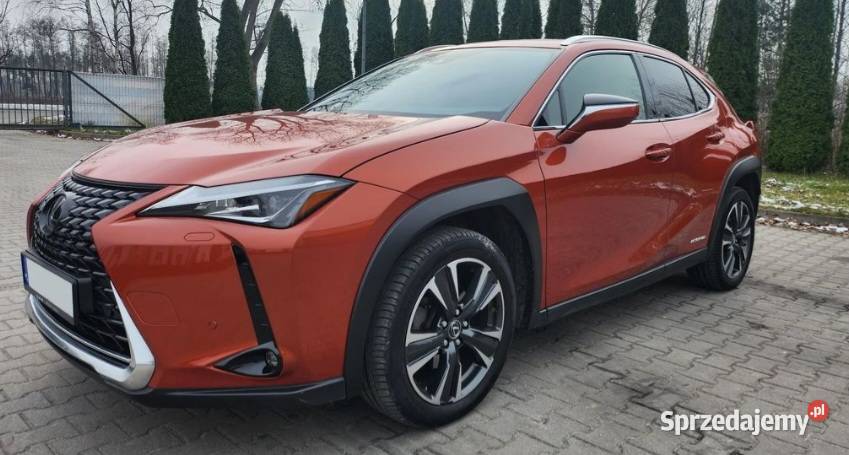 Lexus ux 250h hybryda światła przeciwmgielne UX lubelskie Puławy