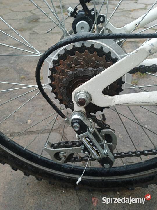 Romet Delta Arkus Forester 24 cale Łódź