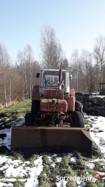 Koparko spycharka Białoruś