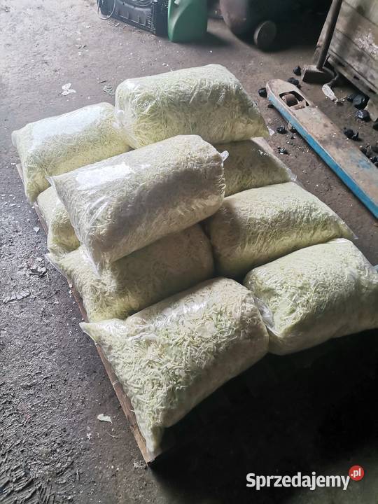 SPRZEDAM KAPUSTA SZATKOWANA SZATKA KAPUSTA Worki Proszowice