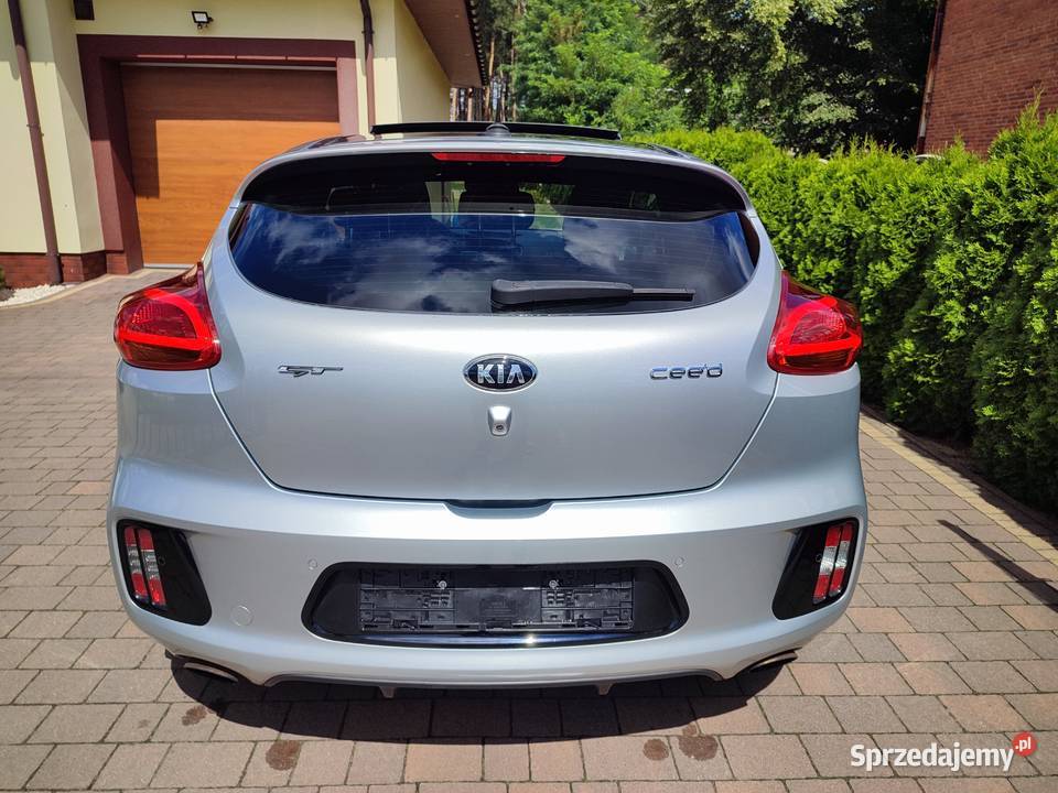 Kia ProCeed GT Line 16 TGDI 204 Panorama Skóra skórzana tapicerka Turek