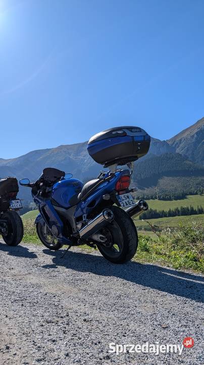 Honda cbr XX 1100 Super Blackbird wtrysk 2000r lubelskie Świdnik