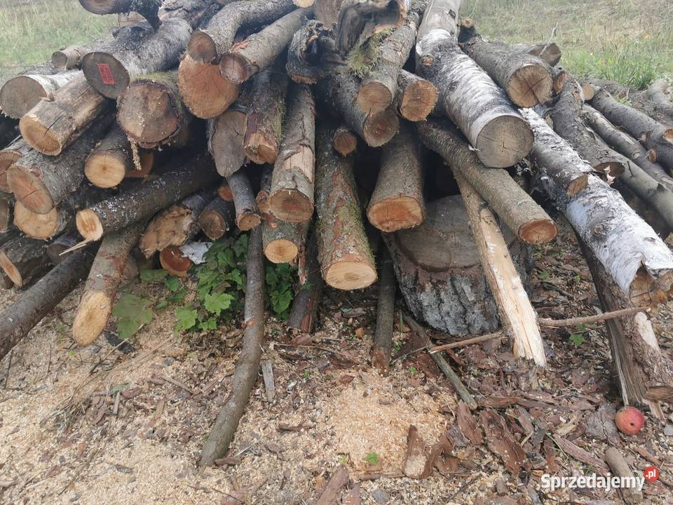 Sprzedam drewno opałowe sosnowe suche liściaste Opał Wałcz