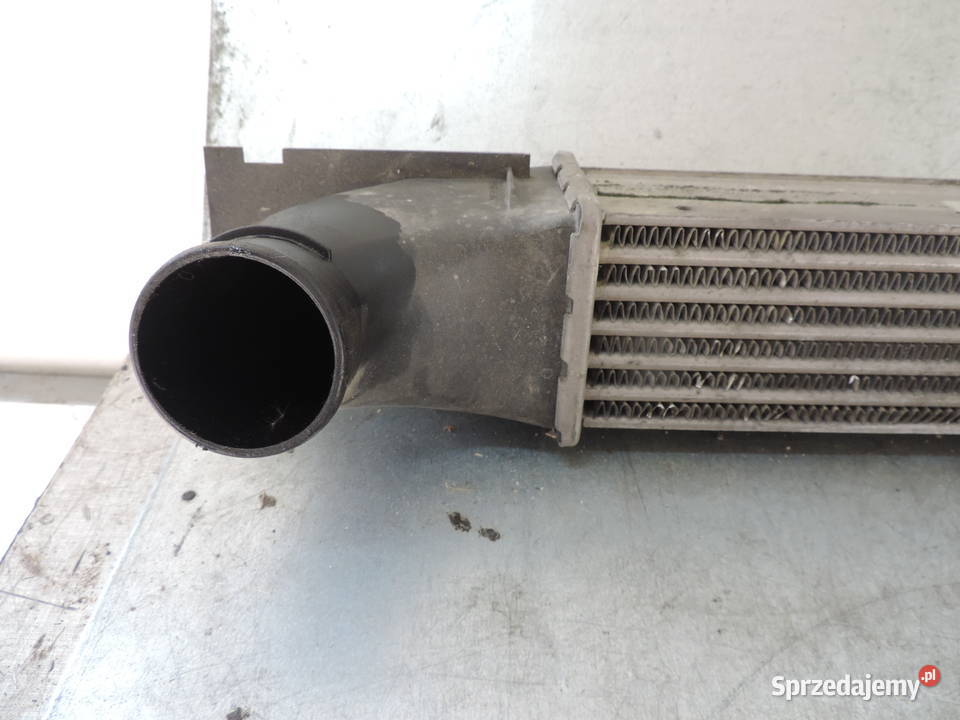 INTERCOOLER OPEL OMEGA B FL C 22 DTI sprzedam