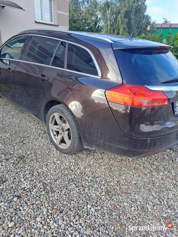 Opel Insignia wielkopolskie Gniezno