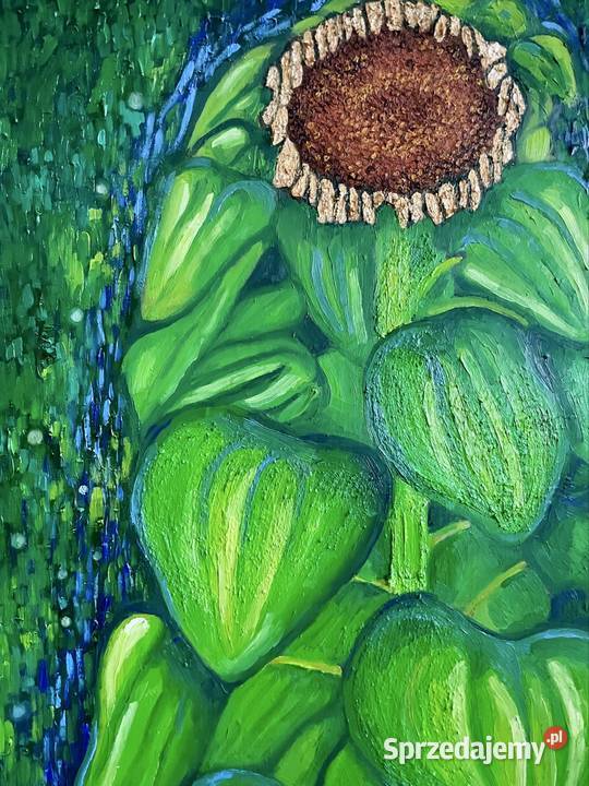 Obraz olejny na płótnie Słonecznik wielokolorowy łódzkie