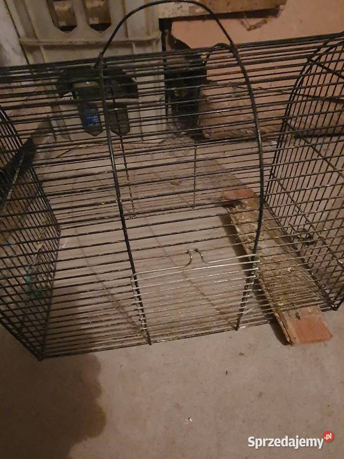 Klatki różne sprzedam Łódź sprzedam