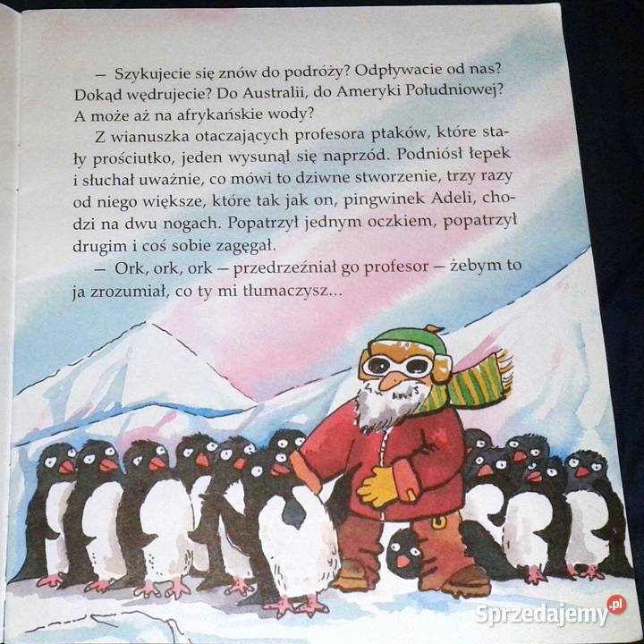 Zaczarowana zagroda Moje Poczytajki Alina i Chełm