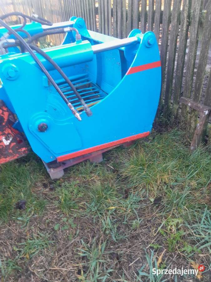 Wycinak szczękowy krokodyl nieuszkodzony świętokrzyskie Sulborowice