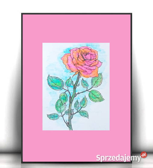 różowy plakat 30x40 retro plakat z różą róża Opole