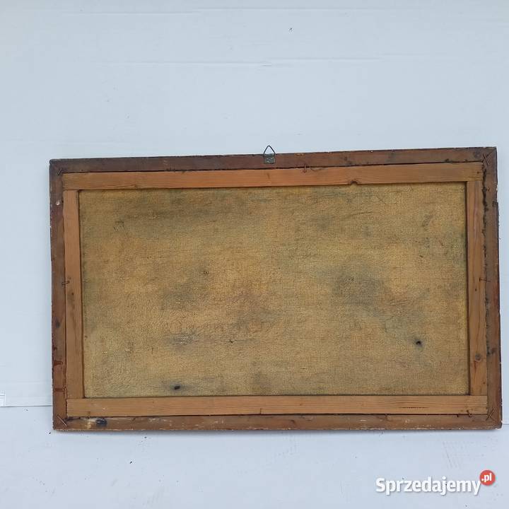 Pejzaż na Płótnie Pies i Natura Zabrze