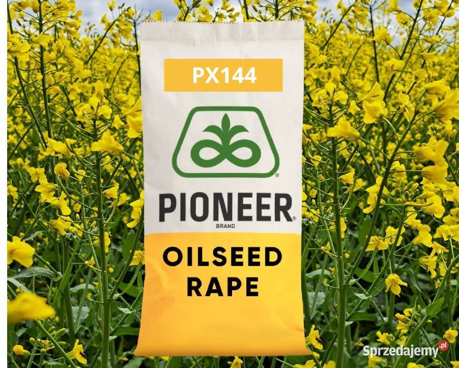 Nasiona rzepaku Pioneer PX144 Pozostałe Zagórów