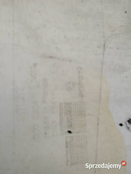 płat drzwi lewy Smart fortwo 2000 r