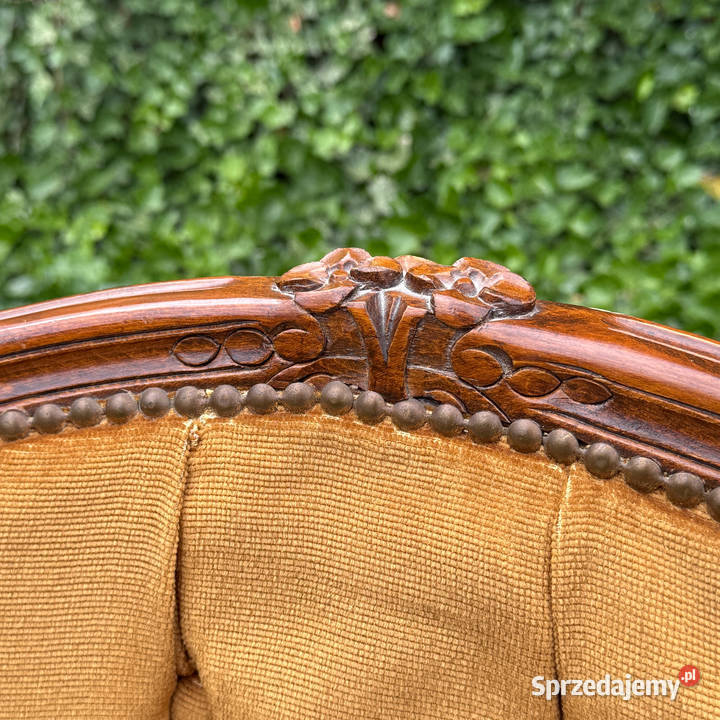 ARTexpert Wygodny Pałacowy fotel Ludwik welur do zachodniopomorskie Dobrzany