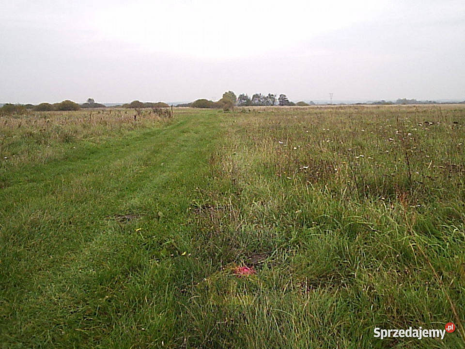 Działka inwestycyjna budowlana Całowanie